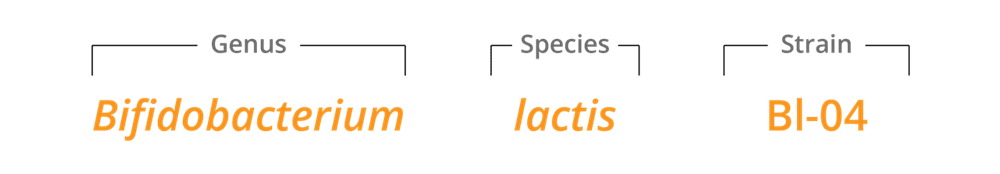 Bifidobacterium lactis Bl-04® | Database